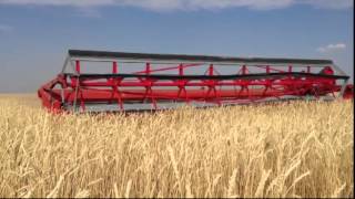 Прицепная жатка Дон Мар 9 метров (Don Mar swather 9 meter)