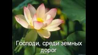 У дороги лилия цвела ,