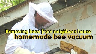 Removing bees from neighbor's house / homemade bee vacuum│幫蜜蜂搬家 / 自製吸蜜蜂箱