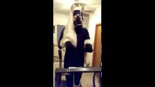 pony training