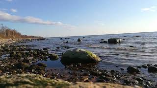 шум моря короткое видео камни на пляже 4К видео ,шум воды дикий пляж лето