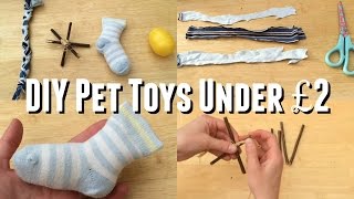 DIY Pet Toys Under £2 |♡Imy'sAnimals♡