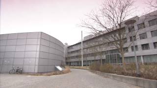 Proteine - Bausteine des Lebens (CIPSM)