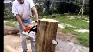 stihl MS 460 prova della nuova arrivata
