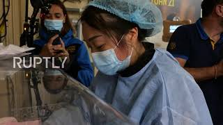 Double the trouble! Giant panda twins born at French zoo