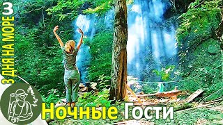 Одна 3 дня на море ???? Енот приходит в гости и ест угощения ► Серия 3