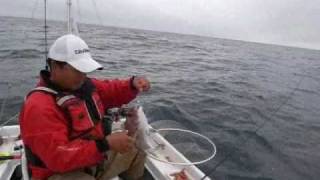 友恵丸動画・一つテンヤ(マダイ)
