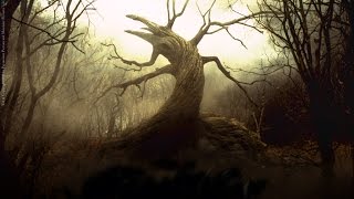 imovie iPad Pro edited.....biolite walk in the woods...