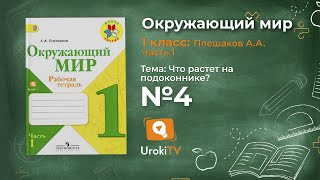 Задание 4 Что растёт на подоконнике? - Окружающий мир 1 класс (Плешаков А.А.) 1 часть