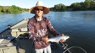 How To Catch American River Shad! Episode 3