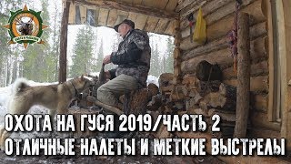 Охота на гуся 2019/Гусь попёр/Счастье есть/2 часть