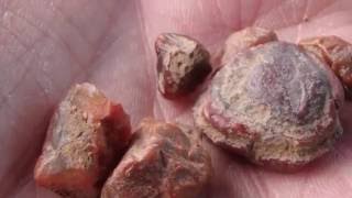 An average rock hunt got better! found a good agate.