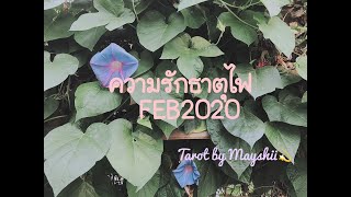 ความรักธาตุไฟ FEB2020 (เมษ,สิงห์,ธนู) Aries-Leo-Sagittarius คำพิพากษาที่จะมาถึง