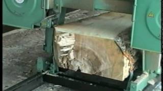 Стрічкопильна лісорама TTM 800
