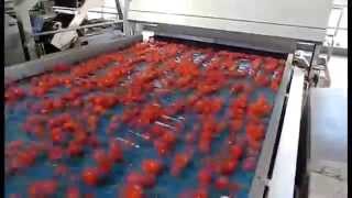 Tomato sorting machine Sentinel II - TOMRA Sorting