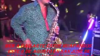 los avila huapangos puro saxxx-bailes y jaripeos potocinos