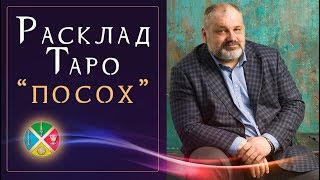 4 расклада Таро на человека в сложной жизненной ситуации. Расклад #1: Посох.