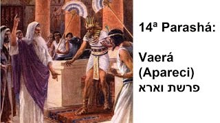 14ª Parashá: Vaerá (Apareci) por: Rabino Marcelo Miranda Guimarães (17/01/2015 | 5775)
