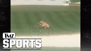 Phoenix Open Streaker Busted Naked Breakdance Moves | TMZ Sports