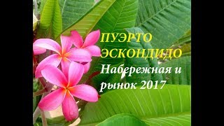 Puerto Escondido Mexico Поездка в Мексику Пуэрто Эскондидо