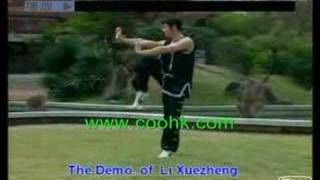 Southern Shaolin Kung Fu: Arhat 18 Fist 574 coohk