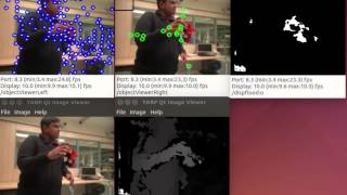 Segmentation with independent motion detection