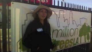 Toni Ann Johnson Video 1
