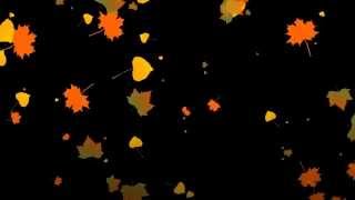 Бесплатные футажи HD -  листопад  Footages leaf fall