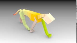 CAT Rig Experiment
