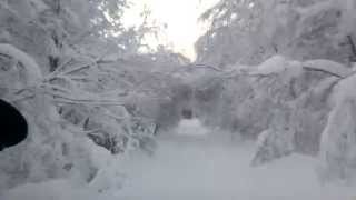 Сквозь снег