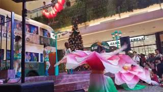 CNY2020 - 杂技 Chinese Circus Acrobatics Show at Starling Mall