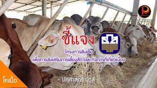 ชี้แจง!!! โครงการสินเชื่อเพื่อการส่งเสริมการเลี้ยงสัตว์และกิจการที่เกี่ยวเนื่อง - ปศุศาสตร์ นิวส์