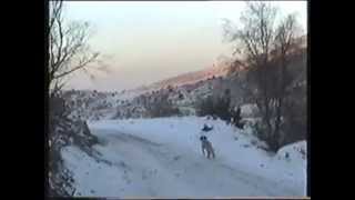 007  Pheasant Hunting ΚΥΝΗΓΙ ΦΑΣΙΑΝΟΥ FINTANIS SERRES 2000