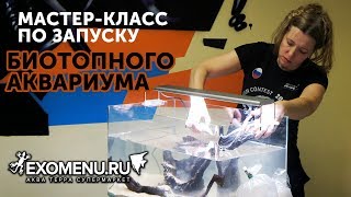 Мастер-класс по оформлению биотопного аквариума в С-Петербурге.