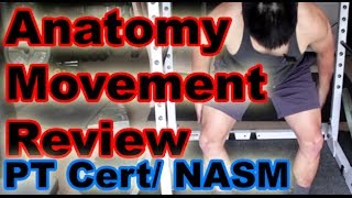 Anatomy Movement Review for PT Certifications and NASM