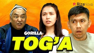 Gorilla - Tog'a