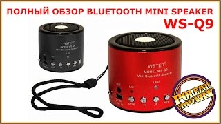 Bluetooth Mini Speaker WS Q9 ПОЛНЫЙ ОБЗОР