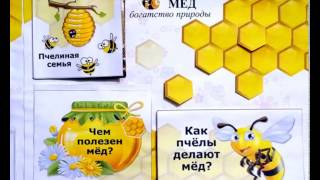 Лэпбук "Мёд - богатство природы"