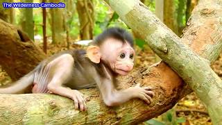 FIND REAL REASON | Why Giant Mama Fight Baby Mona | Baby Not D0 Anything Wroong Why Mama D0 This?