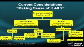 Hip Pathology, Part IV