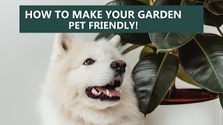 How to make your garden pet friendly.