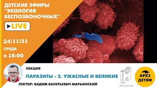 Детский эфир "Паразиты - 2. Ужасные и великие" курса "Экология беспозвоночных" Вадима Марьинского