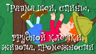 Травма шеи, спины, грудной клетки, живота, промежности - Неотложная помощь - Доктор Комаровский