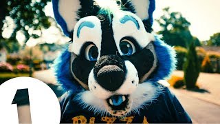 Meet The Furries