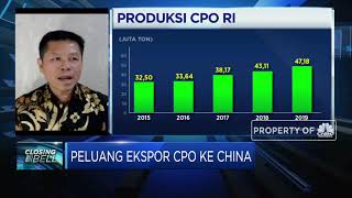 Kebutuhan CPO China Bertambah, Ekspor CPO RI Berpeluang Naik