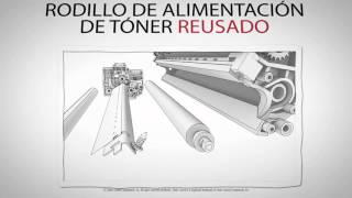 ¿Por Qué es Importante un  Rodillo Alimentador de Tóner