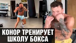 Конор показал свой уровень бокса / Подготовка Макгрегора к следующему бою