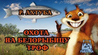 ???РУССКАЯ РЫБАЛКА/Russian Fishing 4 18+ ???ЛОВИМ ТРОФЕЙНУЮ БЕЛОРЫБИЦУ !