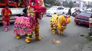 Chinese New Year . Tarian Singa ( Gangnam Version )
