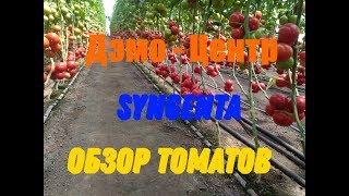 Посещение Дэмо-Центра компании Syngenta